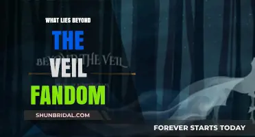 Exploring the Mysteries Beyond the Veil Fandom's Enchanting Realm