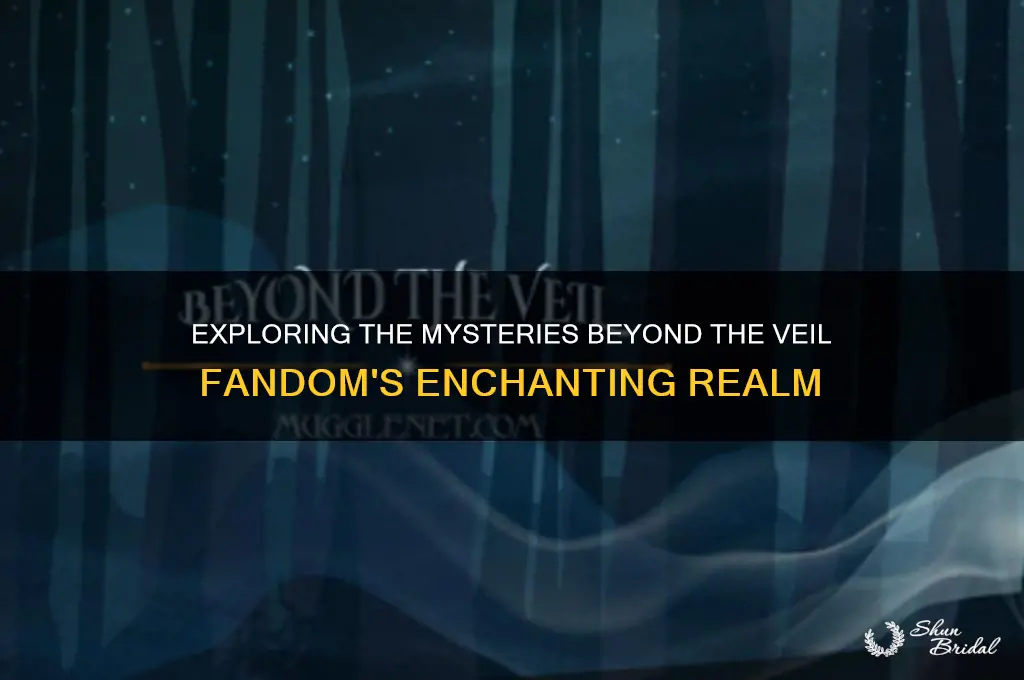 what lies beyond the veil fandom