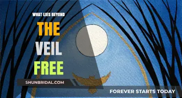 Unveiling the Unknown: Exploring What Lies Beyond the Veil Free