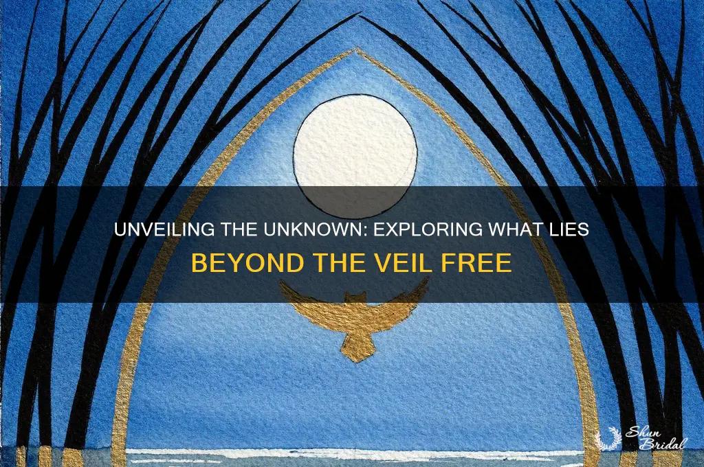 what lies beyond the veil free