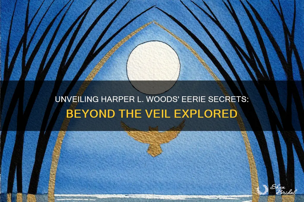 what lies beyond the veil harper l woods epub