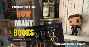 Exploring the Mysteries Beyond the Veil: A Guide to the Book Series