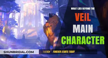 Unveiling the Journey: Exploring the Main Character's Path Beyond the Veil