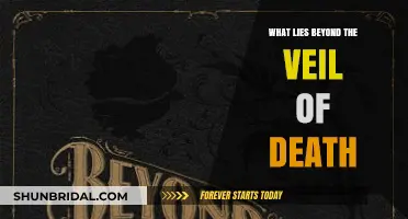 Exploring the Unknown: What Lies Beyond the Veil of Death?