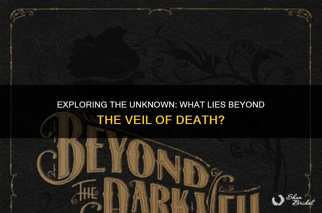 what lies beyond the veil of death
