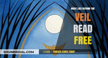 Unveiling the Unknown: Explore What Lies Beyond the Veil for Free