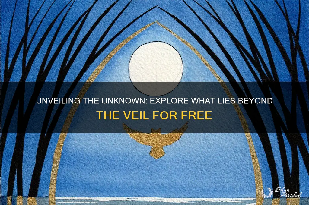 what lies beyond the veil read free