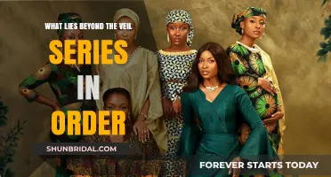 Unveiling the Mystery: Exploring the Beyond the Veil Series Order