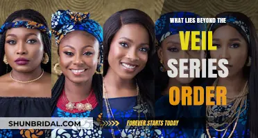 Unveiling the Mystery: Exploring the Beyond the Veil Series Order