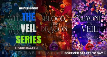 Unveiling the Mysteries: Exploring the Enigmatic Beyond the Veil Series
