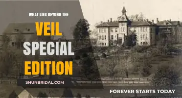 Unveiling the Unknown: Exploring What Lies Beyond the Veil Special Edition