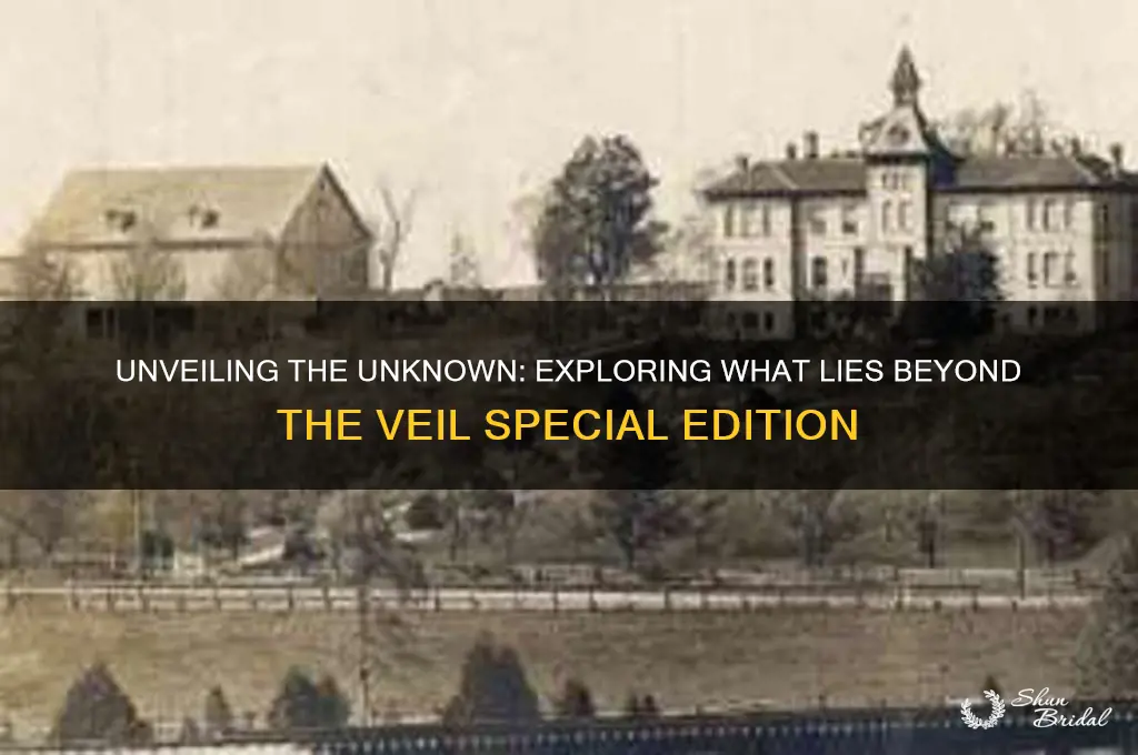 what lies beyond the veil special edition