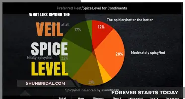 Beyond the Veil: Unveiling the Fiery Secrets of Spice Levels