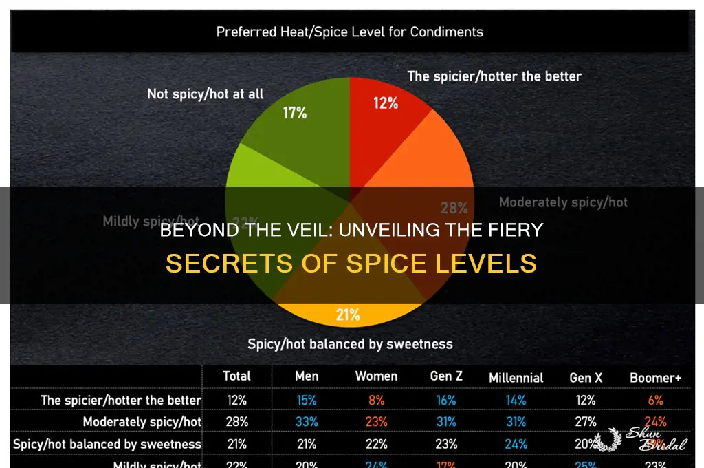 what lies beyond the veil spice level