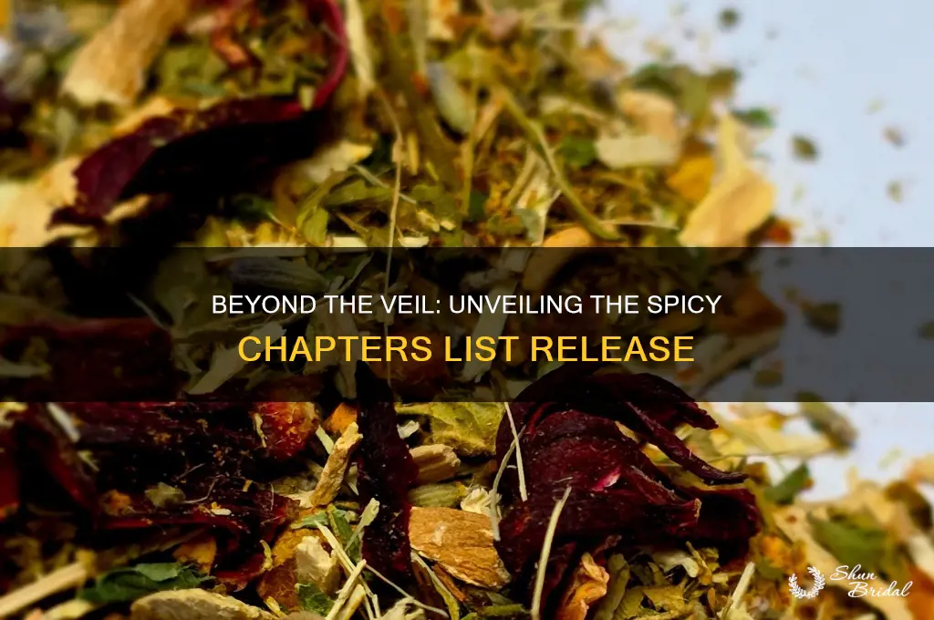 what lies beyond the veil spicy chapters list release