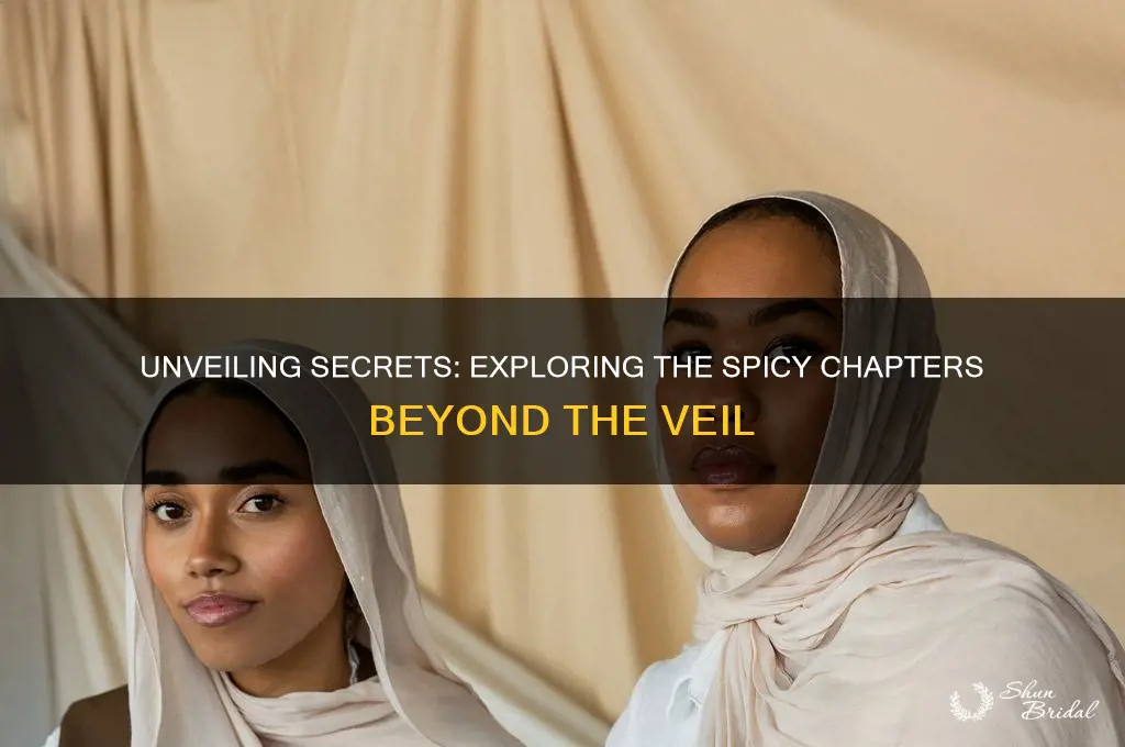 what lies beyond the veil spicy chapters
