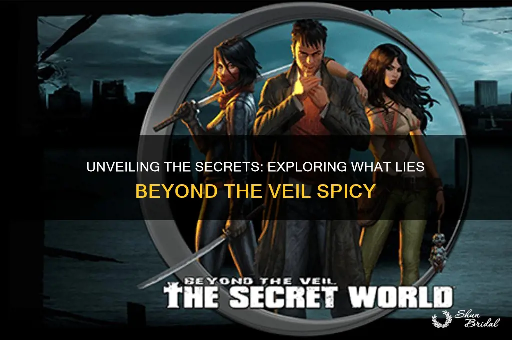 what lies beyond the veil spicy