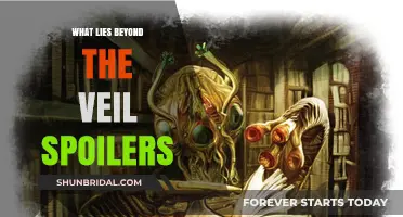 Beyond the Veil: Unveiling Secrets and Spoilers You Can't Miss
