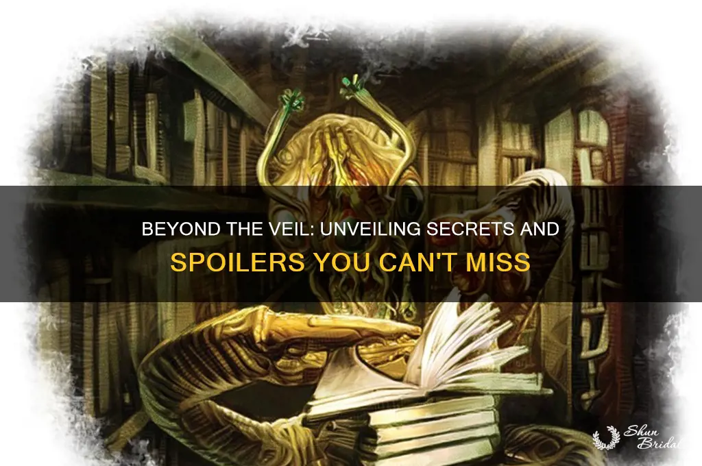 what lies beyond the veil spoilers