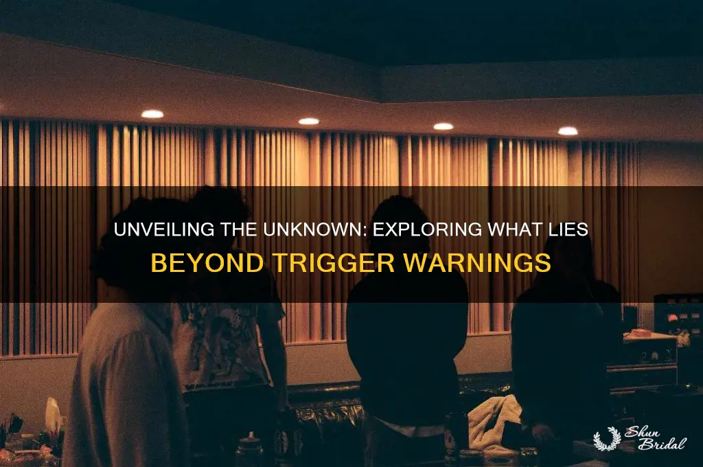 what lies beyond the veil trigger warnings