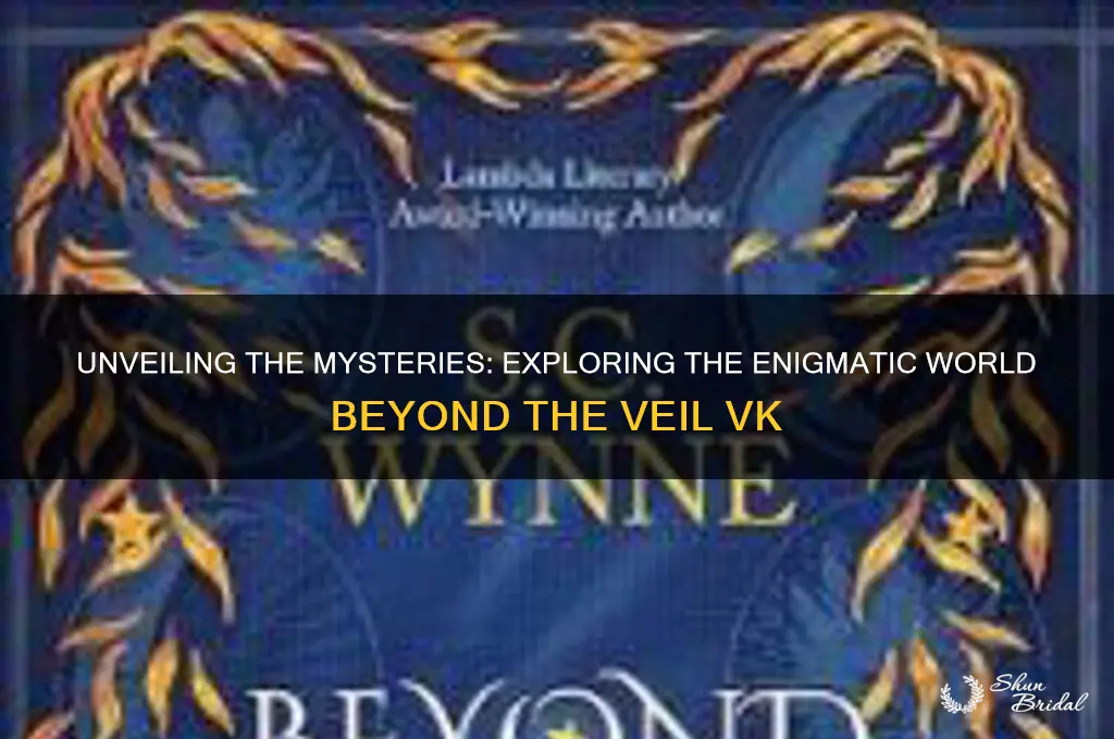 what lies beyond the veil vk