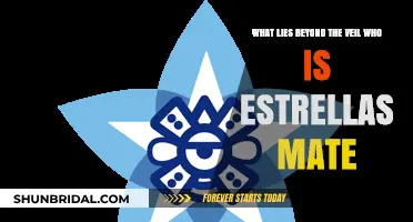 Beyond the Veil: Unveiling Estrellas Mate's Mysterious Identity
