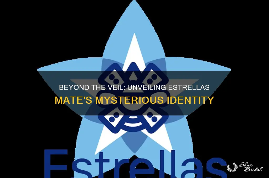 what lies beyond the veil who is estrellas mate