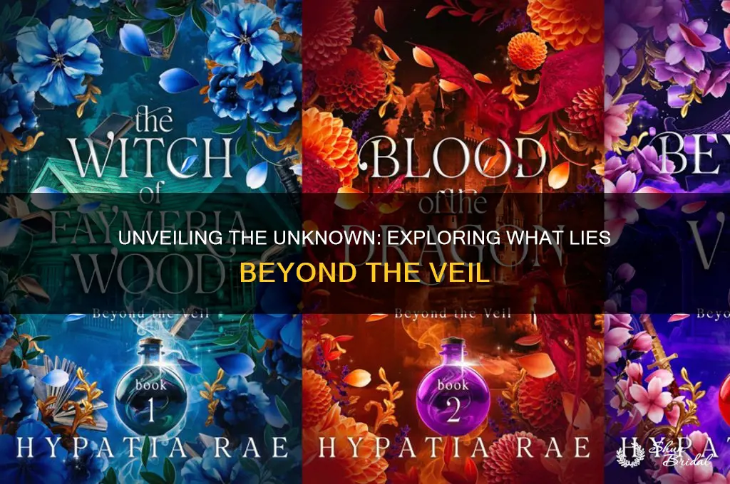 what lies beyond the veil