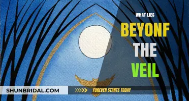 Unveiling the Unknown: Exploring What Lies Beyond the Veil