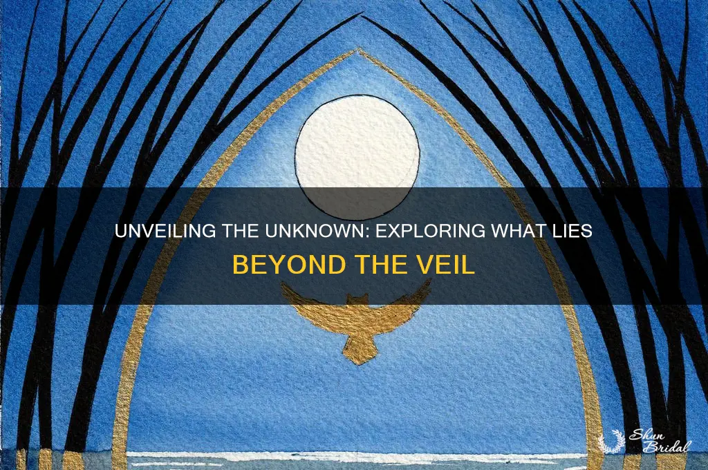 what lies beyonf the veil