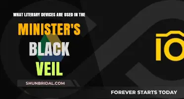 Unveiling Symbolism and Irony in 'The Minister's Black Veil