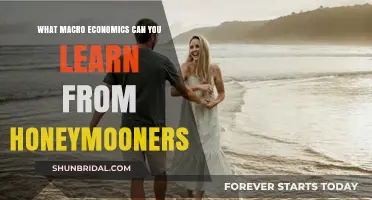 Honeymoon Economics: Macro Lessons from Newlywed Financial Choices