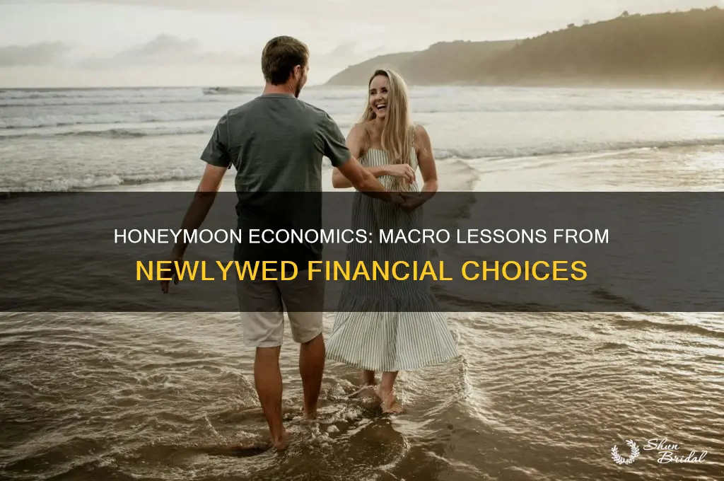what macro economics can you learn from honeymooners