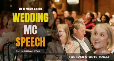 Crafting Memorable Wedding MC Speeches: A Guide