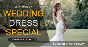The Magic of Wedding Dresses: What Makes Them Special