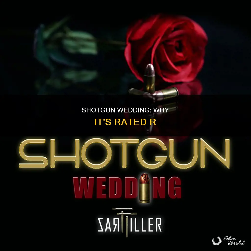 what makes shotgun wedding rated r