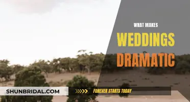 Drama Unveiled: Weddings and Their Dramatic Twists