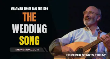 Who Sang the Wedding Song? Male Singer Revealed