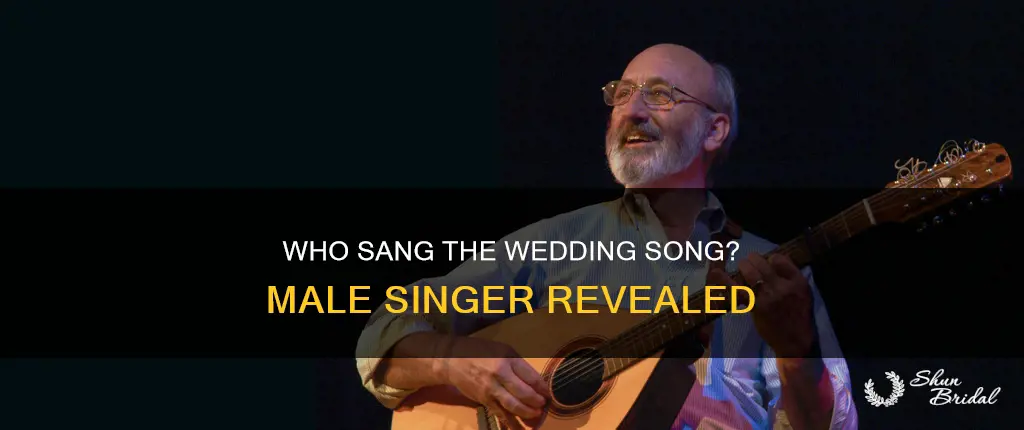 what male singer sang the song the wedding song