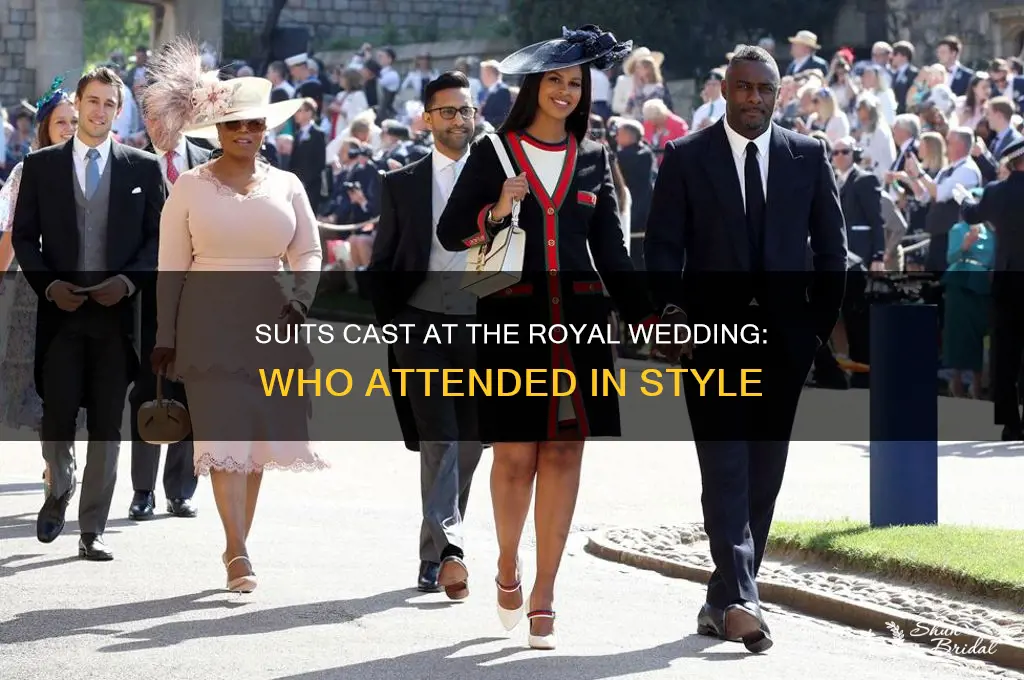 what members in suits went to the royal wedding