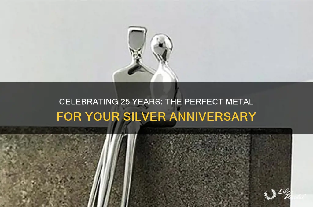 what metal for 25th wedding anniversary