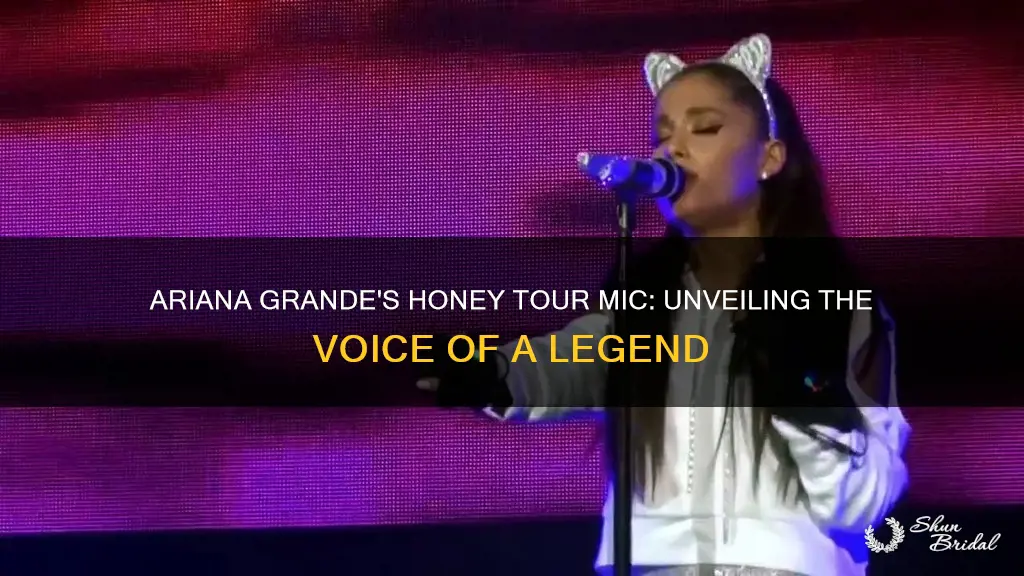 what microphone did ariana grande use for the honeymoon tour