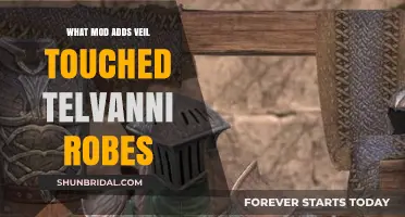 Discover the Mod Adding Veil-Touched Telvanni Robes to Skyrim