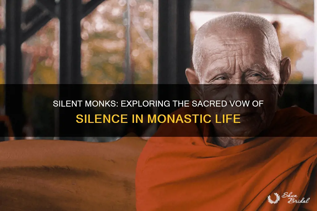 what monks take a vow of silence