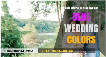 Pink and Blue Wedding Colors: Perfect Months for Your Dream Day