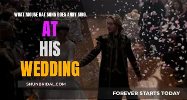 Andy's Wedding Song: Mouse Rat's Greatest Hit