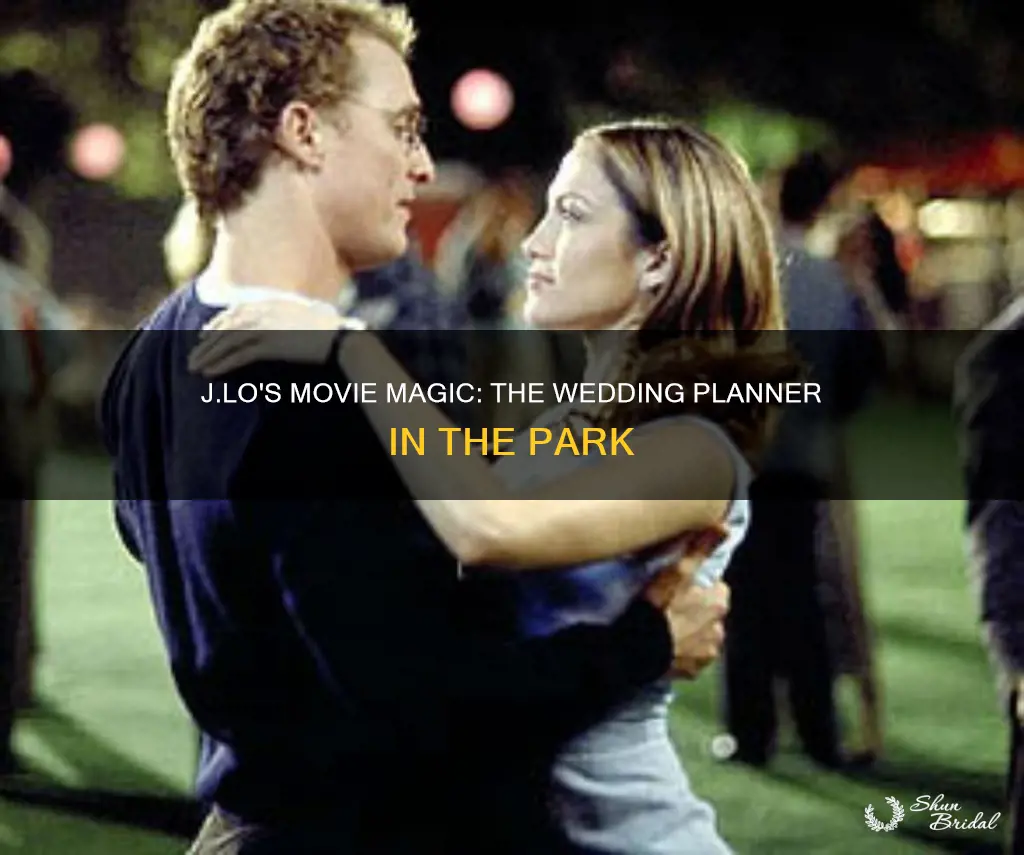 what movie in park movie the wedding planner