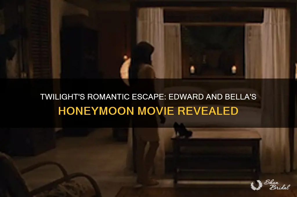 what movie is edward and bella