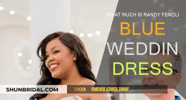 Randy Fenoli's Blue Wedding Dress: Cost and Design