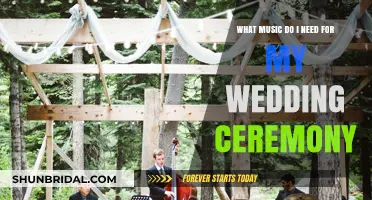 Perfect Wedding Ceremony Music: Tips for Choosing Your Ideal Playlist